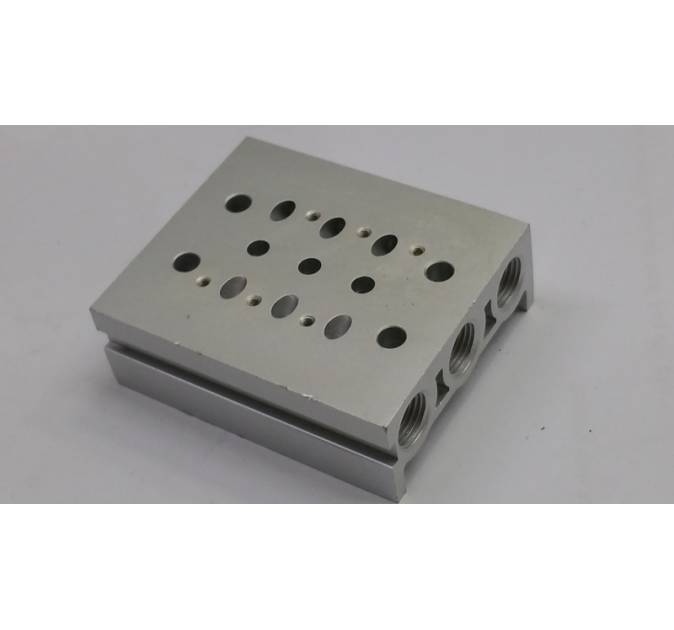DV1 series 2 stations manifold